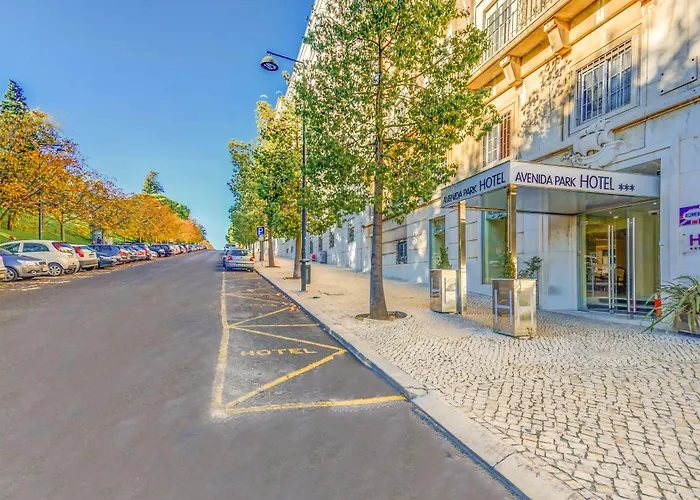 酒店 马路公园酒店