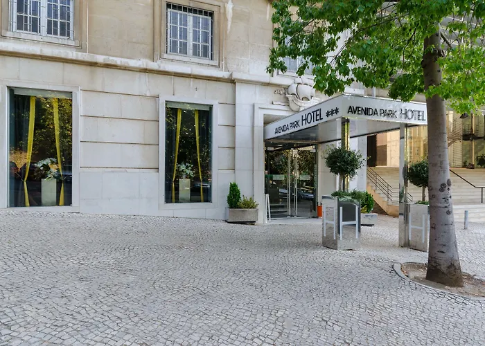 Hotel Avenida Park